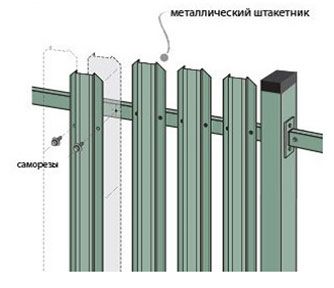 466_1.jpg 466_1.jpg